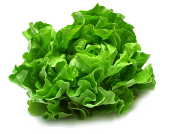 lechuga_pagina